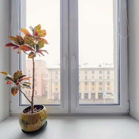 комплекс спортс дворец